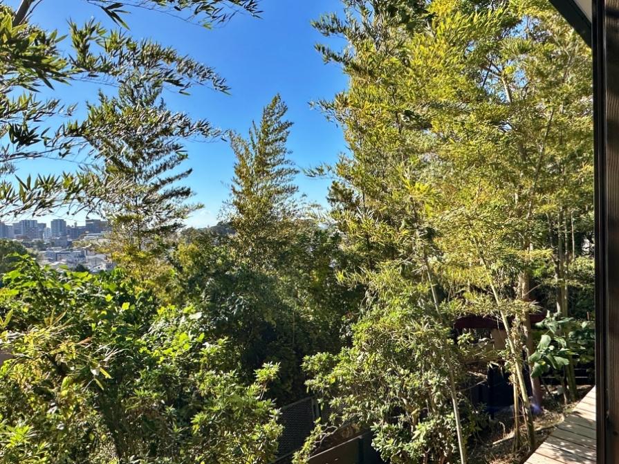 藤沢市大鋸三丁目の売買物件/リビングからの眺望｜緑の向こうにビル群。やはり不思議な感じがします