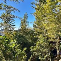 藤沢市大鋸三丁目の売買物件/リビングからの眺望｜緑の向こうにビル群。やはり不思議な感じがします