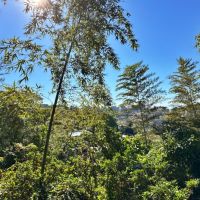 藤沢市大鋸三丁目の売買物件/リビングからの眺望｜緑の向こうにビルが見えることの安心感