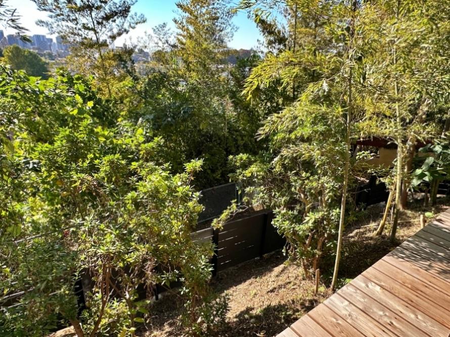 藤沢市大鋸三丁目の売買物件/濡れ縁からの眺望｜下に道がありますがこの高低差なら視線は気になりません