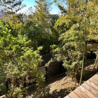 藤沢市大鋸三丁目の売買物件/濡れ縁からの眺望｜下に道がありますがこの高低差なら視線は気になりません