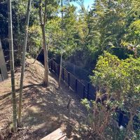 藤沢市大鋸三丁目の売買物件/濡れ縁からの眺望｜道までは写真ほど高低差がありません