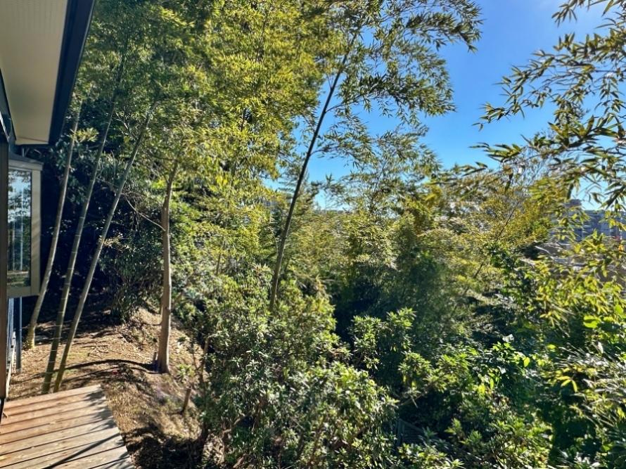 藤沢市大鋸三丁目の売買物件/濡れ縁からの眺望｜下に広がる住宅街を上手く隠してくれています