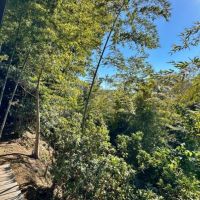 藤沢市大鋸三丁目の売買物件/濡れ縁からの眺望｜下に広がる住宅街を上手く隠してくれています