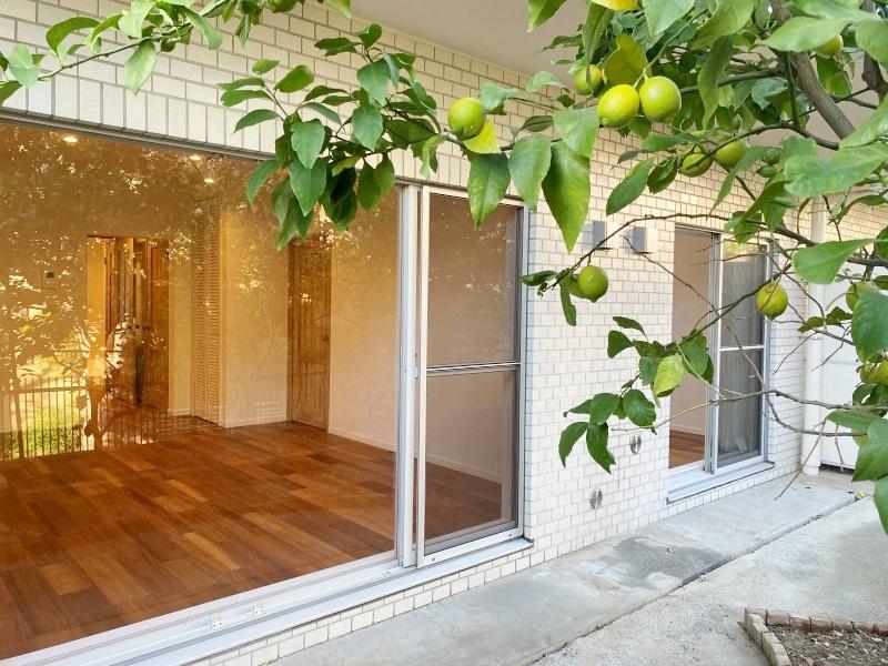 鎌倉市腰越五丁目の売買物件/庭にはレモンが実っています。他にもプランターで野菜を育てて収穫を楽しみたい。