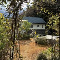 鎌倉市西御門一丁目の賃貸物件/冬の庭の様子