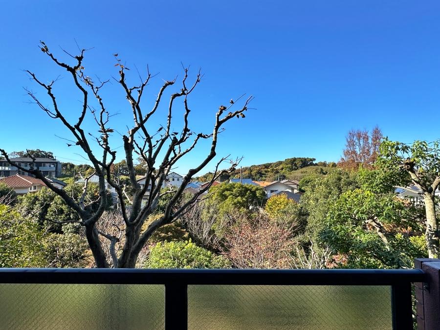鎌倉市鎌倉山三丁目の賃貸物件/バルコニーからの眺望｜1階ですが斜面地なので抜けています