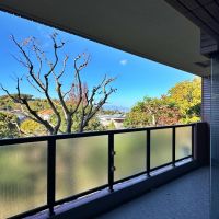 鎌倉市鎌倉山三丁目の賃貸物件/バルコニー｜幅が広いのでテーブルやチェアも置くことができます。向こうに丹沢山地