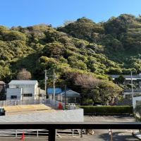 逗子市小坪四丁目の売買物件/玄関から出たところ。右奥に墓地があります。