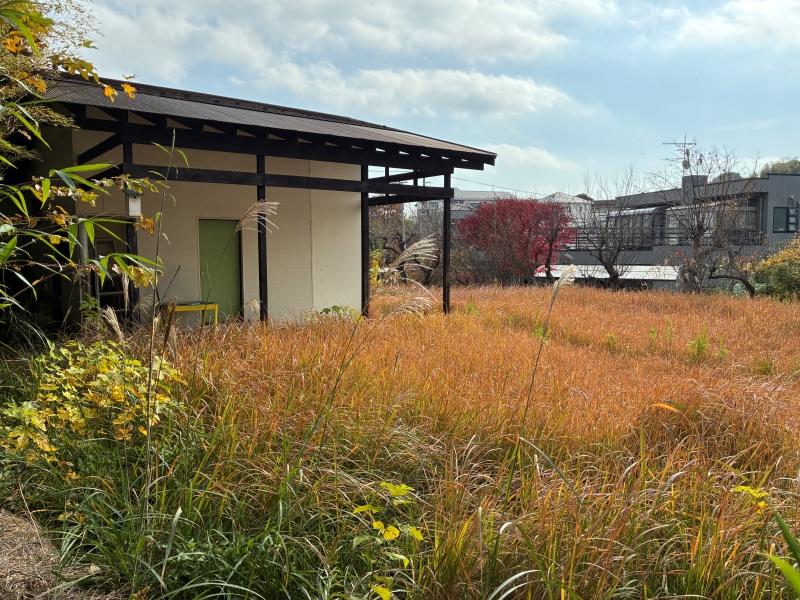 鎌倉市鎌倉山四丁目の売買物件/外部｜どこか遠い田舎の山にでも来た気持ちになりますが、鎌倉山の住宅街の中です