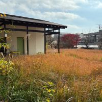 鎌倉市鎌倉山四丁目の売買物件/外部｜どこか遠い田舎の山にでも来た気持ちになりますが、鎌倉山の住宅街の中です