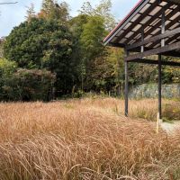 鎌倉市鎌倉山四丁目の売買物件/外部｜今は一面、膝高まで草が伸びていますが、それも絵になります