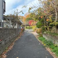 鎌倉市鎌倉山四丁目の売買物件/アプローチ｜公道側から敷地方面を見る。ここからはまだ建物の気配は感じられません