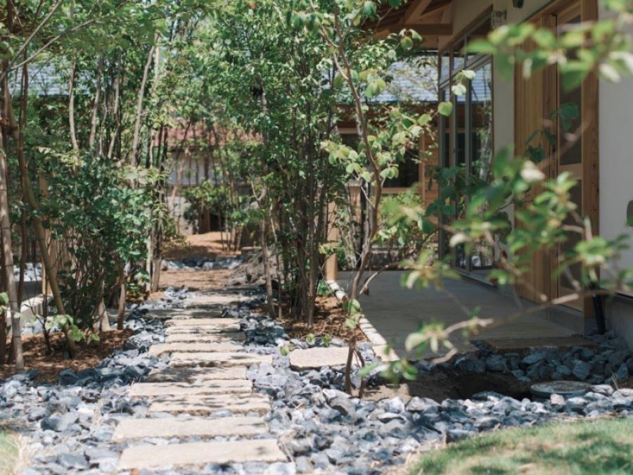 藤沢市辻堂元町三丁目の賃貸物件/共有部｜伐採予定だった樹木をレスキューして植栽した広葉樹が青々と生い繁り、空間を優しく包み込んでくれる緑のベールに