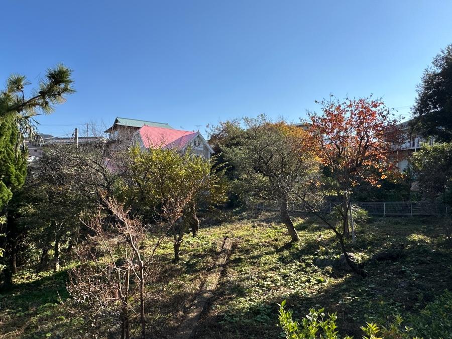 足柄下郡真鶴町岩の売買物件/剪定梯子に上って南側を向く｜西側道路から東側と北側へ緩やかに斜面となっています