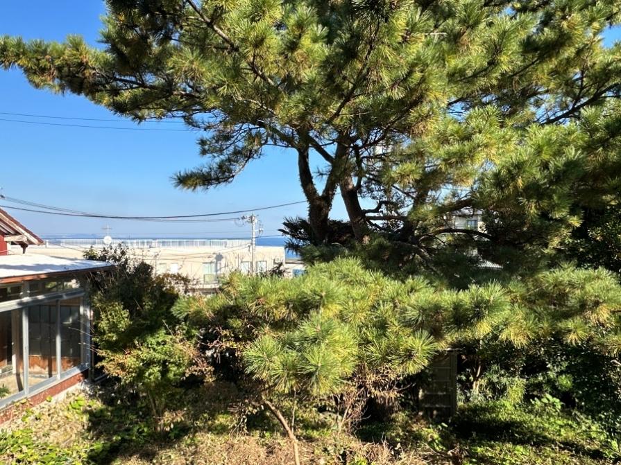 足柄下郡真鶴町岩の売買物件/剪定梯子に上って東側を向く｜2階より少し低いくらいの目線で建物の向こうに海が見えます