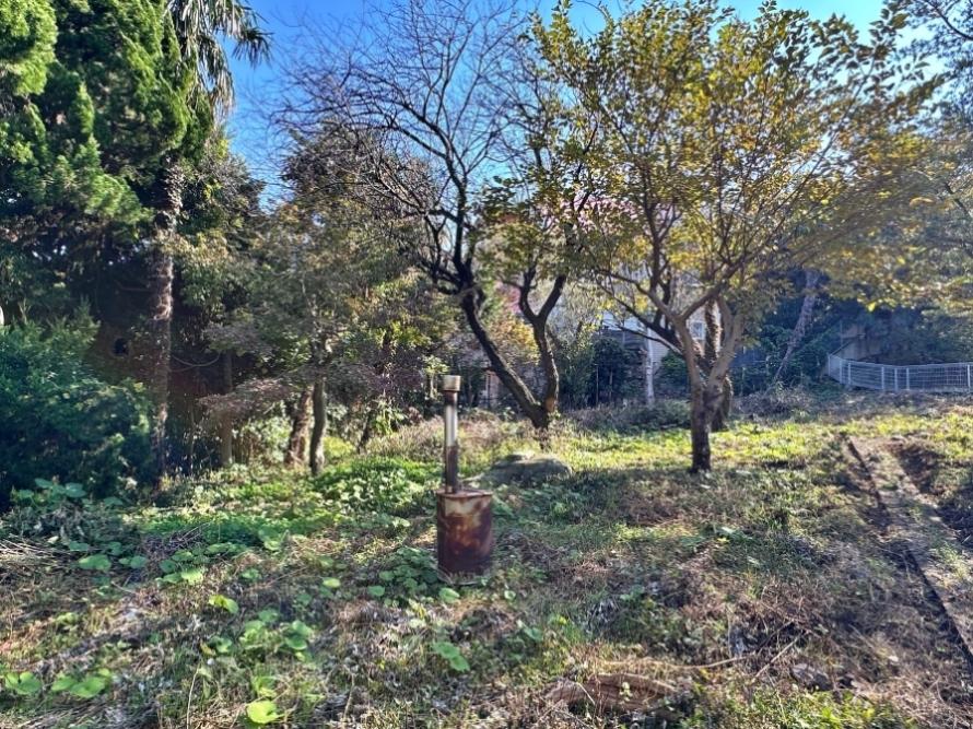 足柄下郡真鶴町岩の売買物件/南側を向く｜左側の高木を剪定すれば海が望めるかも