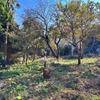 足柄下郡真鶴町岩の売買物件/南側を向く｜左側の高木を剪定すれば海が望めるかも