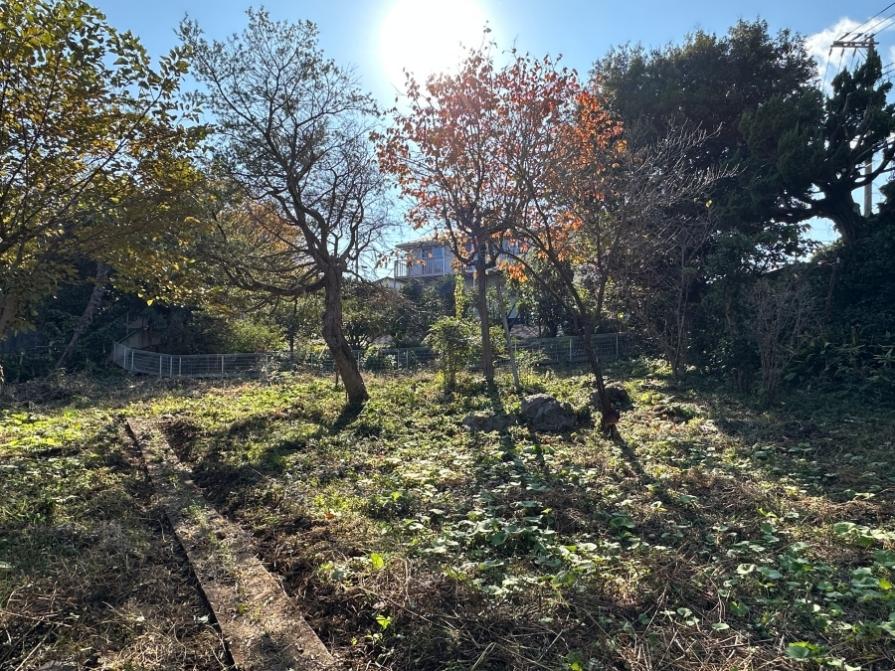 足柄下郡真鶴町岩の売買物件/南西側を向く｜この緩やかな斜面はぜひ活用したい