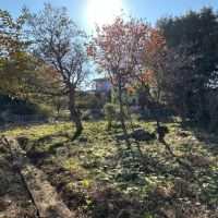 足柄下郡真鶴町岩の売買物件/南西側を向く｜この緩やかな斜面はぜひ活用したい