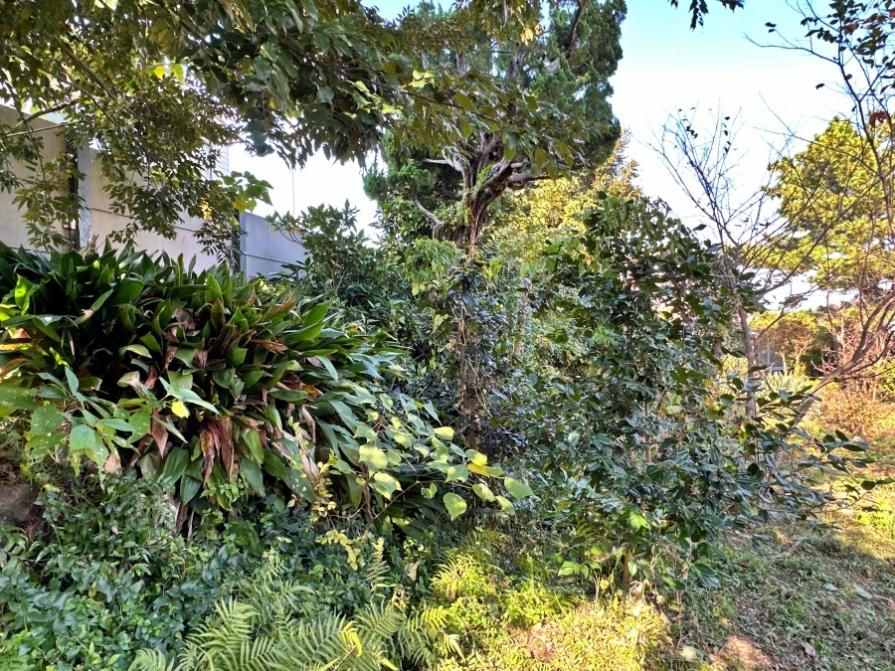 足柄下郡真鶴町岩の売買物件/西側前面道路の擁壁の内側｜ここに少し段差があります