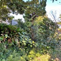 足柄下郡真鶴町岩の売買物件/西側前面道路の擁壁の内側｜ここに少し段差があります