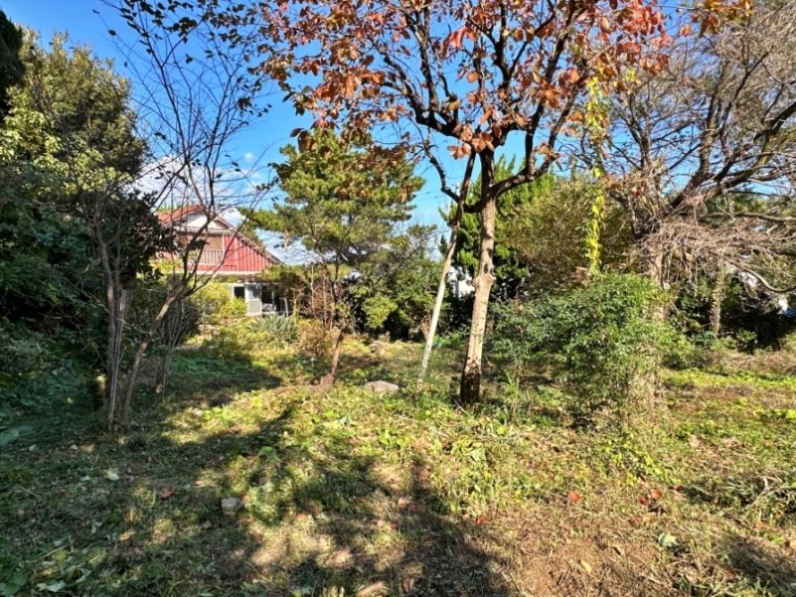 足柄下郡真鶴町岩の売買物件/北側を向く｜色んな妄想が広がります