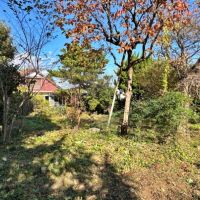 足柄下郡真鶴町岩の売買物件/北側を向く｜色んな妄想が広がります