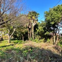 足柄下郡真鶴町岩の売買物件/北東側を向く｜木々の間からチラッと海が見えます