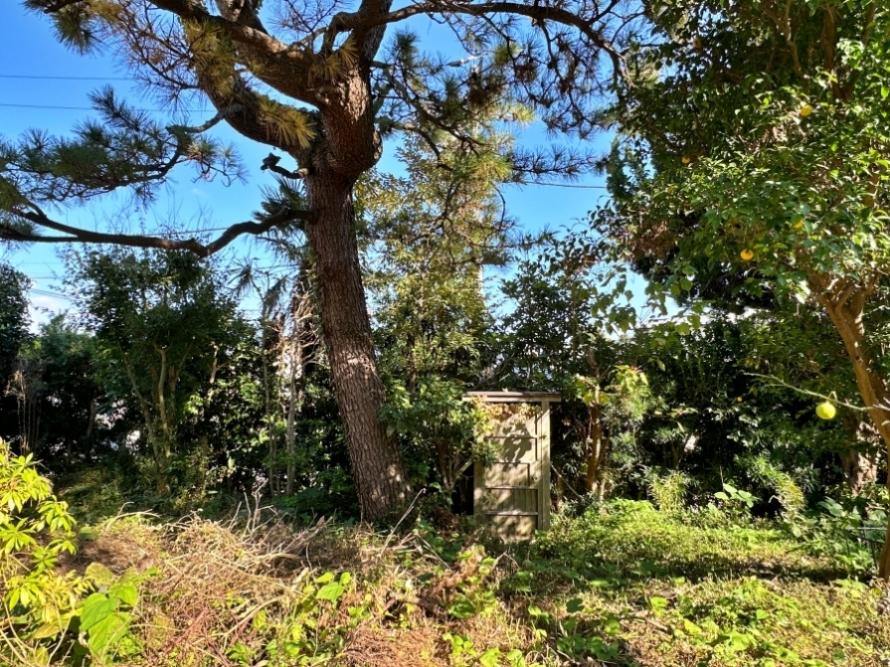 足柄下郡真鶴町岩の売買物件/東側を向く｜東側前面道路へ出る勝手口の右側に境界があり、右部分が募集の土地。勝手口から左はオーナーがそのまま所有する土地