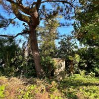 足柄下郡真鶴町岩の売買物件/東側を向く｜東側前面道路へ出る勝手口の右側に境界があり、右部分が募集の土地。勝手口から左はオーナーがそのまま所有する土地