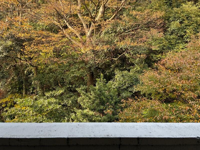 三浦郡葉山町一色の売買物件/玄関を開けたら、裏山の緑が見えます