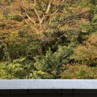 三浦郡葉山町一色の売買物件/玄関を開けたら、裏山の緑が見えます