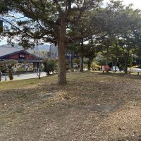 三浦郡葉山町一色の売買物件/マンションの隣にある小さな公園