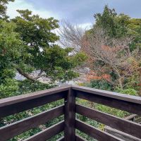 鎌倉市台の売買物件/緑の借景