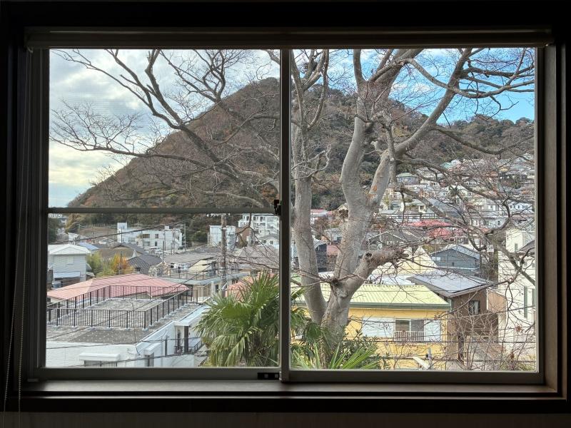 葉山町一色の賃貸物件/2階 洋室1｜三ヶ岡山緑地が正面に見えます。斜面のきれいな直線っぷりがよく分かります