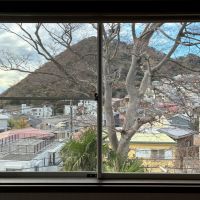 葉山町一色の賃貸物件/2階 洋室1｜三ヶ岡山緑地が正面に見えます。斜面のきれいな直線っぷりがよく分かります