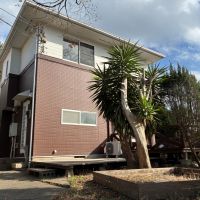 葉山町一色の賃貸物件/外観｜手前の木は温暖な気候ならではの樹種でしょうか