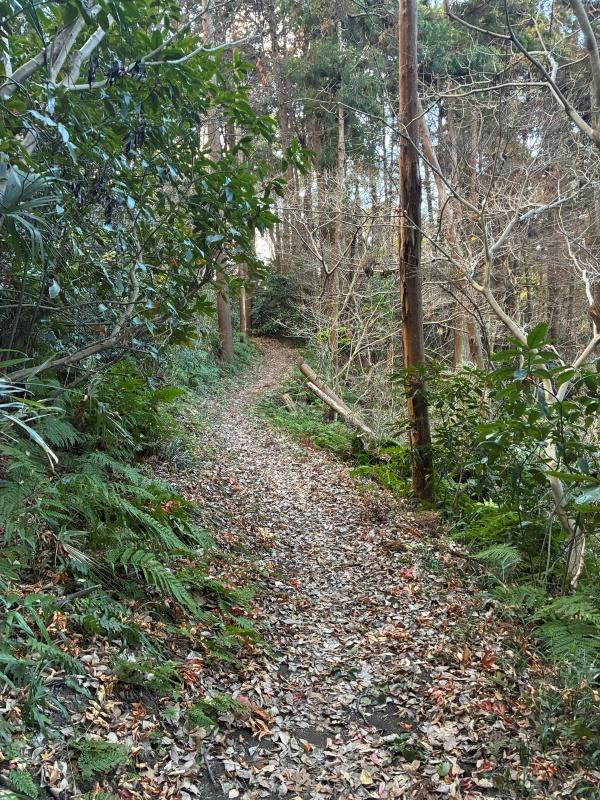 逗子市桜山七丁目の賃貸物件/ハイキングやトレイルランがお好きなら、その先の長柄桜山古墳回廊コースを楽しめます。