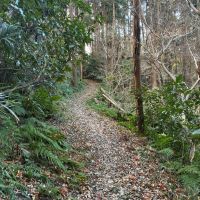 逗子市桜山七丁目の賃貸物件/ハイキングやトレイルランがお好きなら、その先の長柄桜山古墳回廊コースを楽しめます。