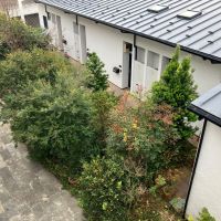 三浦郡葉⼭町堀内 の賃貸物件/共用部｜果樹もなっているので、鳥がやってきます。