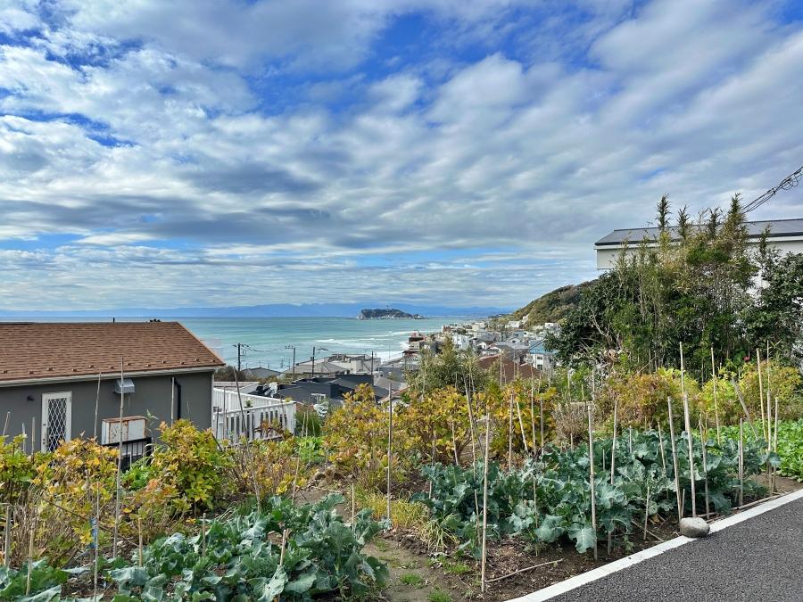 鎌倉市稲村ガ崎一丁目の賃貸物件/駐車スペースからの眺望｜正面に江ノ島。雲がなければ江ノ島の右上あたりに富士山が望めます