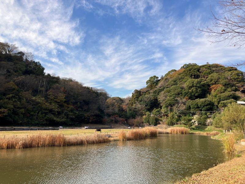 鎌倉市二階堂の売買物件/周辺｜近所の永福寺跡。源頼朝が建立した荘厳な3つの建物があったそうで、今は跡地だけが残っています。