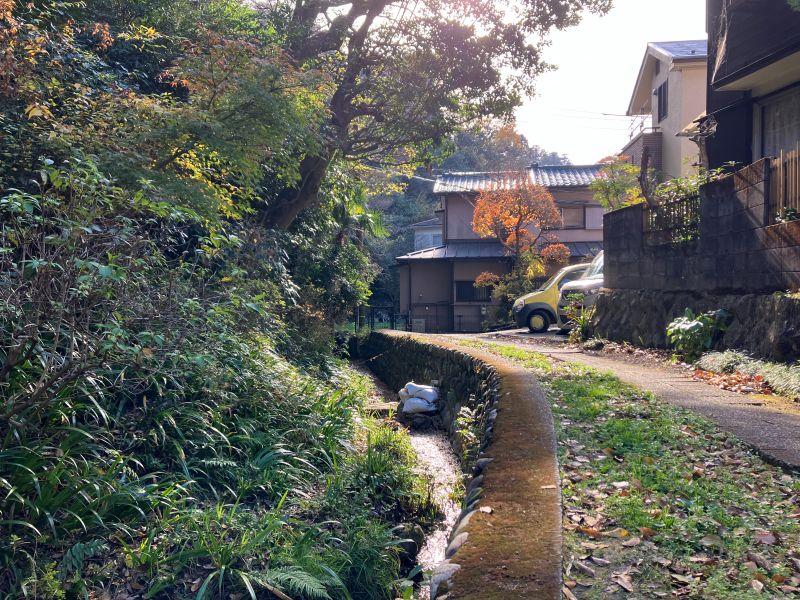 鎌倉市二階堂の売買物件/周辺｜もっと山の方に向かっていくとこんな景色。