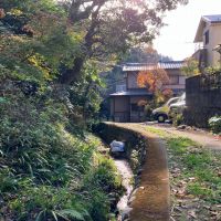 鎌倉市二階堂の売買物件/周辺｜もっと山の方に向かっていくとこんな景色。