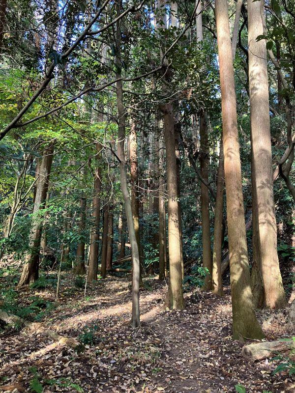 鎌倉市二階堂の売買物件/周辺｜ここから先はトレッキングシューズが必要そう。