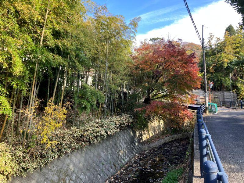 鎌倉市二階堂の売買物件/周辺｜通玄橋のあたりも紅葉が美しい。