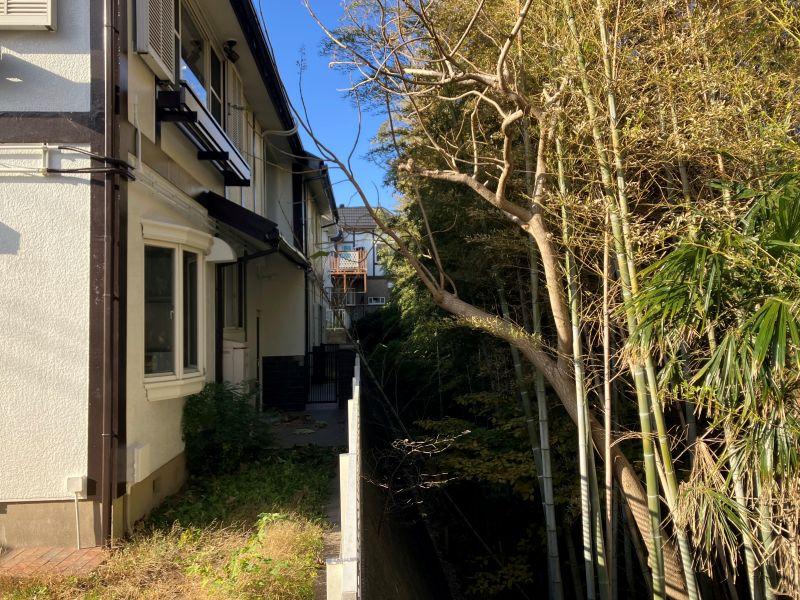 鎌倉市津の売買物件/外構｜隣地の竹林の地面までは大分段差があります。