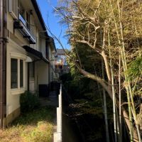 鎌倉市津の売買物件/外構｜隣地の竹林の地面までは大分段差があります。