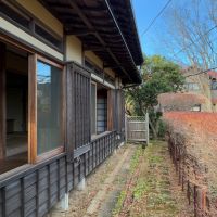 鎌倉市梶原三丁目の売買物件/外観｜植栽のすぐ外は道路。フェンスも無しですが、密に茂った枝木で十分に落ち着きます